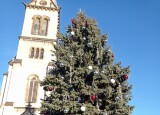 IMG_20241204_090234.jpg