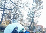 IMG_20241204_085035.jpg