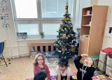 IMG_7479.jpeg