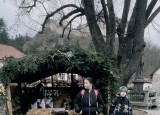 IMG_4713.jpeg