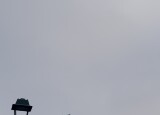 IMG_4709.jpeg
