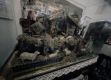 IMG_4716.jpeg