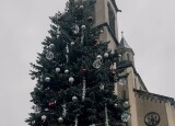 IMG_4779.jpeg