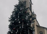 IMG_4778.jpeg