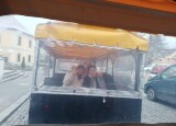 vánoční bruslení V (18).jpg