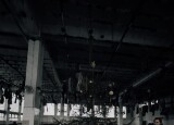 IMG_4812.jpeg
