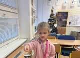 IMG_7697.jpeg