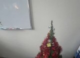 IMG_4850.jpeg