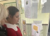 IMG_4871.jpeg