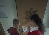 IMG_4874.jpeg