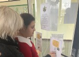 IMG_4870.jpeg