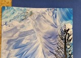 20250110_115057.jpg