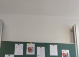 IMG-20250114-WA0057.jpg