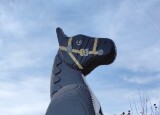 IMG-20250130-WA0011.jpg