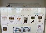 IMG_6834.jpeg