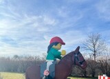 IMG_8013.jpeg