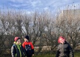 IMG_8016.jpeg