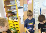 IMG-20250203-WA0001.jpg