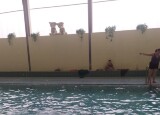 IMG-20250203-WA0027.jpg