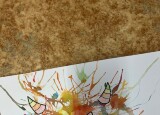 IMG_8128.jpeg