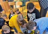 IMG_8178.jpeg