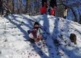 20250218_114844(0).jpg