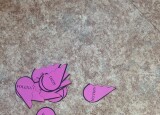 IMG_8200.jpeg