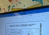 IMG_8299.jpeg