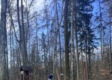 IMG_5532.jpeg