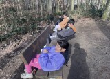 IMG_5547.jpeg
