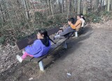 IMG_5553.jpeg