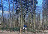 IMG_5531.jpeg