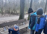 IMG_5529.jpeg