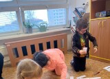 IMG_8407.jpeg