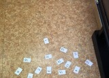 IMG_8399.jpeg
