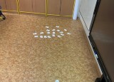 IMG_8400.jpeg
