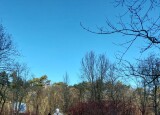 IMG-20250310-WA0002.jpg