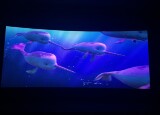 IMG_8414.jpeg