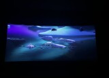 IMG_8413.jpeg