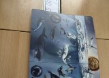 IMG_5163.jpeg