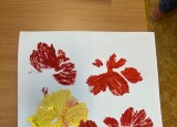 IMG_8456.jpeg