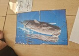 20250317_081713.jpg