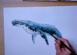 IMG_1882.JPEG