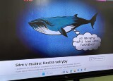 IMG_1877.JPEG