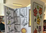 IMG_8542.jpeg