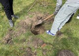 IMG_1951.JPEG