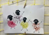 IMG_8674.jpeg
