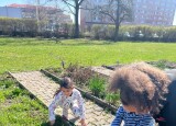 IMG_8625.jpeg
