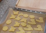 IMG-20250408-WA0009.jpg
