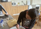 IMG_5250.jpeg
